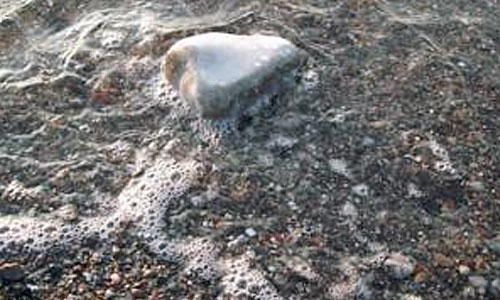 Insel Hiddensee - Ausflugstipp